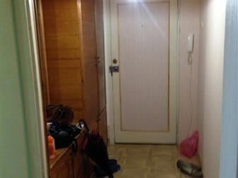 �������� foto  2� ��������, �������, ������, 35251648 � �������-��-����