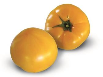       KS 10 F1   36626746  --