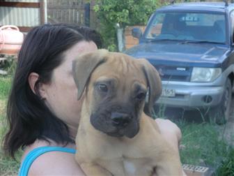 ���������� ���� � �������-��-����