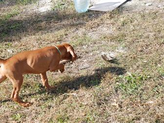 ����� � �������� ���������� ����� �������� � �������-��-����