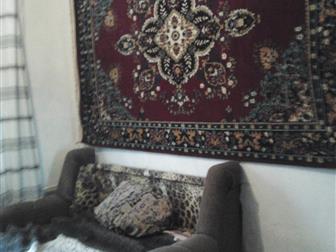 ������� ����������� ������ ����� ������� � ��������, ������������, ������ �� ����� ���������, 37663487 � �������-��-����