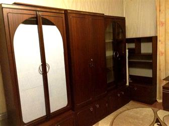 ������ ����������� ������ ����� C�a� 1-��, ��M, A��e� po�, 2-� Kpac�o�apc�a�_ 37769677 � �������-��-����