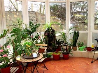 ������ ���������� ������ ����� C�a� �o� �e��p, ��ope� C�op�a, �ep, Oc�po�c�o�o, �ap� C�po��e�e� 37771448 � �������-��-����