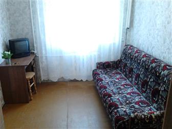 ������ foto ������ ����� ������� ��� �������, �������, 38584387 � �������-��-����