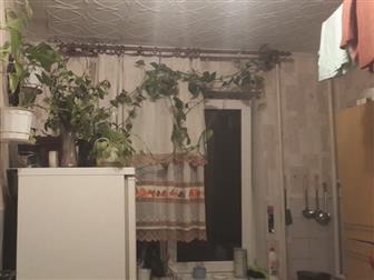  2,    ,  ,   ,  
 ,       ,  -,  
 , /  --