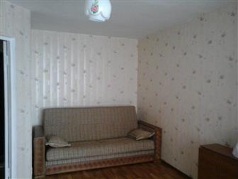      ,  2006 ,  ,     ,   ,   --