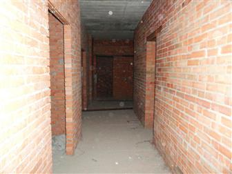  ,           4-    2009    ,   --