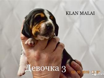           - ! , ,  21, 09, 2019, 7   3  ! !  ,   --
