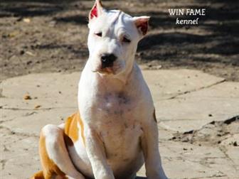  Win Fame          25, 06, 2019 , , !!2      --