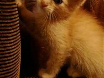    ,  4 ,  ,   ,   -,  -  ,   ,  ,  