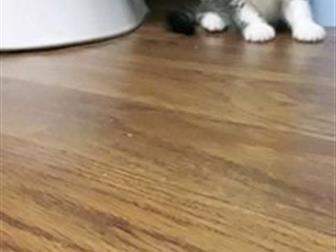   23  ,  2   1  ,            ,       ??  