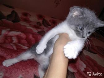 ,   ,     ,  ,     ,  ,  ,  ,    ,  