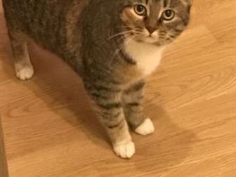 , ,  ,  ,       