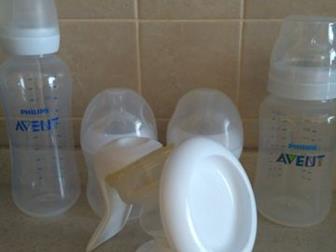     Philips Avent Natural,      Philips Avent Classic  3   330   Philips Avent Standard 6   300 :  