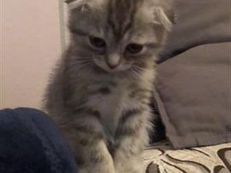 , 2 ,   ,  ,  