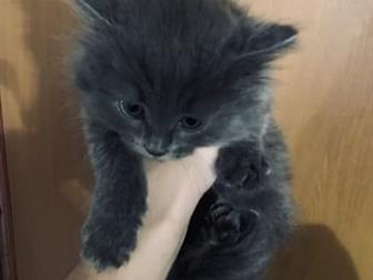  ,      , ,    !  