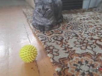  ,  (  ),    1 ,    ,    ,     ,  