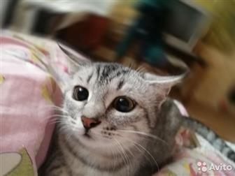      ,   ,       ,     ,    4  ,    