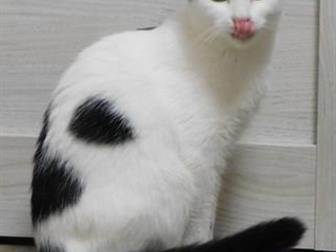   ?? ??    - ( )     ,    ,      