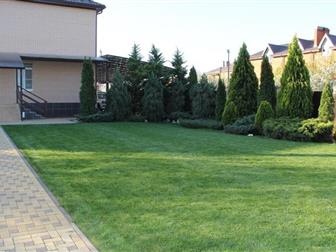   ,   ,  () ,  ,    ,     25 ,  20     