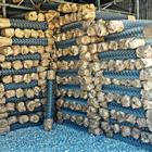 ��� ��� ������