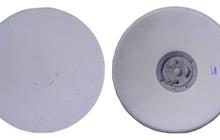      Raimondi Supertitina