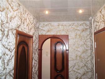      15- ,       ,    ,         8,  00  -