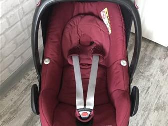   Maxi-cosi   ,  ,   ,  ,    ,        -