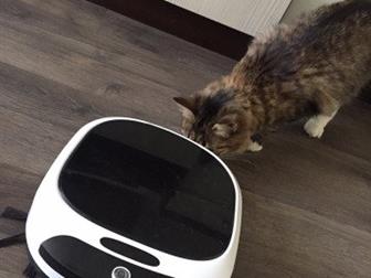    ,       ,    ,  ,   ,   -