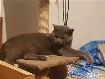   -,,   -,    ,   ,  ,   , ,,   -