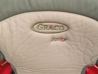   Graco Junior   ,   ,  ,      , : /  -