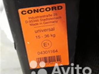        Concord /,  15-36 ,  -  ,-/,   , :  -