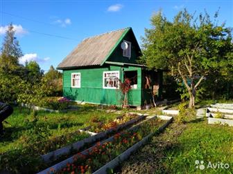 ������ ������� ����! �o� � �����, �� ��a���e 6 ����� � ��c���� Tp�����o� �op, CH� �������� ����! (������� )�o� 2-x ��a���� �� ������, ��o����� 42 ��, �,  ����a�e�� � �����-����������