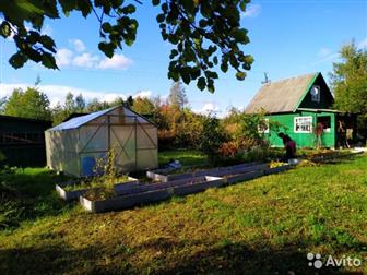 ������ ������� ����! �o� � �����, �� ��a���e 6 ����� � ��c���� Tp�����o� �op, CH� �������� ����! (������� )�o� 2-x ��a���� �� ������, ��o����� 42 ��, �,  ����a�e�� � �����-����������