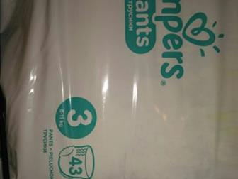   -  Pampers , 3, c 6  11 ,  43  (  ), :   -