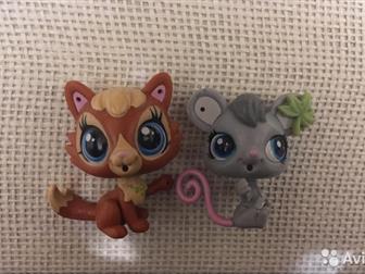  Pet Shop,   ,      !!!: /  -