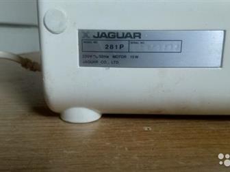   Jaguar,   281 P,   /,  ,  -