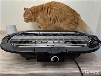     ,       BBQ  -