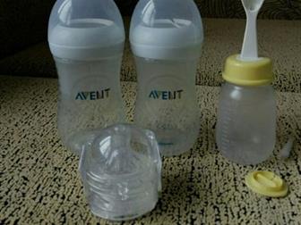   ,   Avent 260   -2 ,   Pigeon    - ,      ,      -,  -