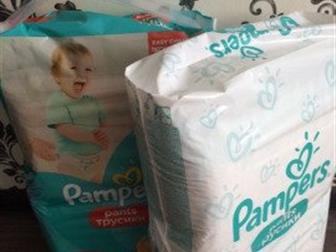   ????????,      pampers pants :                                                                       