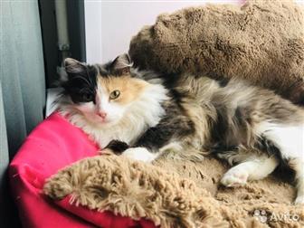        ,    2- ,    ,    -4,    