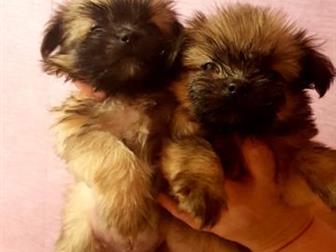  ,  24, 10, 2019,    ,  ,    , ,    ,   