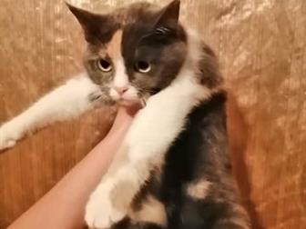     ,  1   6  ,    ,   , , ,  