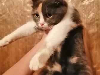     ,  1   6  ,    ,   , , ,  