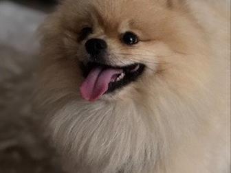      !!!  3 ,    -   !!!!  
