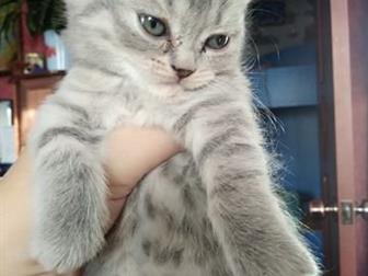   !   ,  22 !   ,   ,      !   ,    