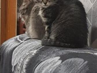  ,   !  , ,   ! 2, ,  