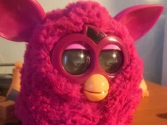 Furby -   ,     ,   , , ,  ,         