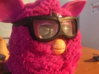 Furby -   ,     ,   , , ,  ,         