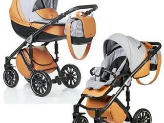    ANEX SPORT 2  1,  FOXY,    ,   -,    ,   ,     ,    